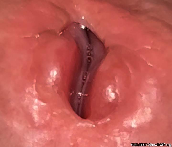 Perky Lips with Precum Forming!