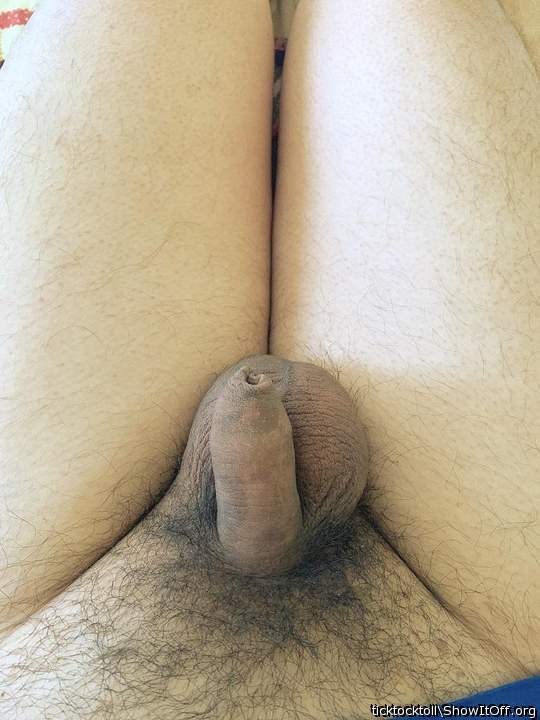 Photo of a penile from ticktocktoll