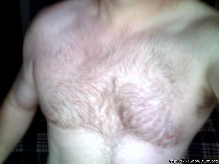 great  hairy Chest 