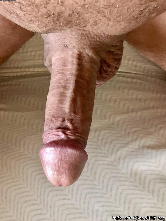 Suck this cock