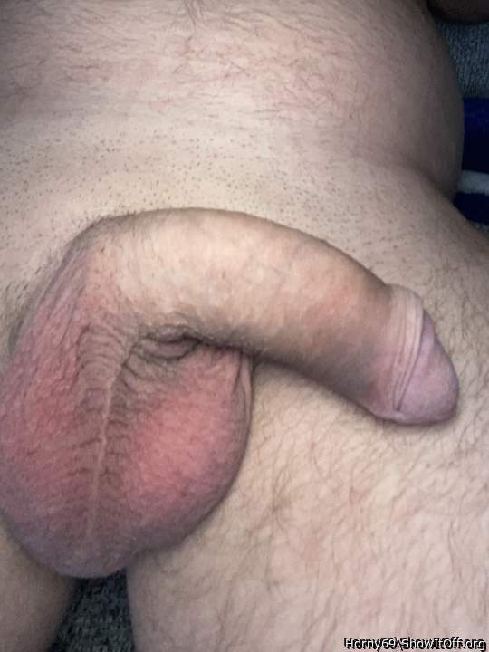 Photo of a boner from Horny69