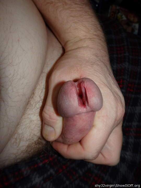Photo of a short leg from shy32virgin