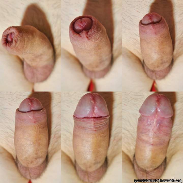 penis growth during erection