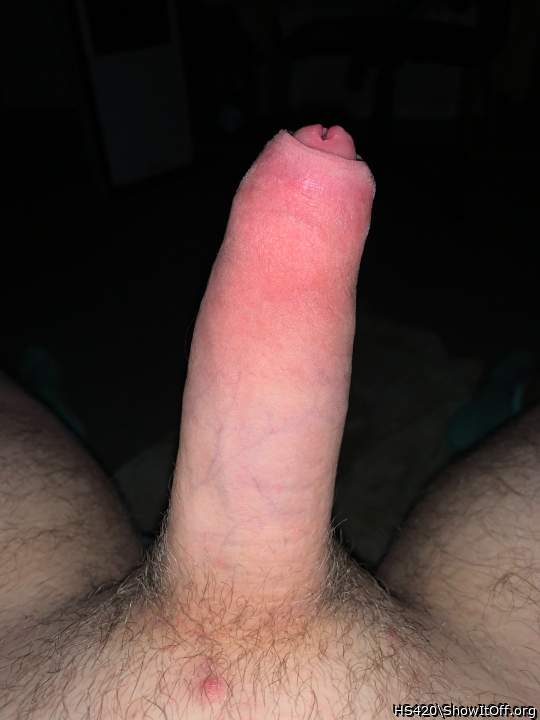 A lovely cock   