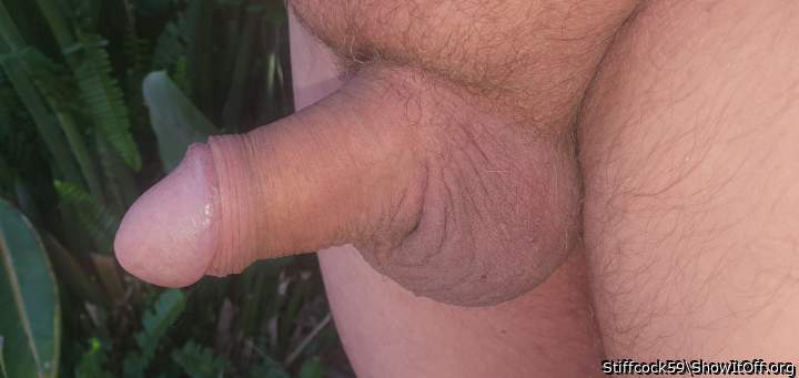 Photo of a meat stick from Stiffcock59