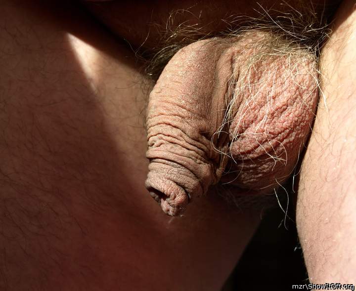 My hairy uncut cock with a fleshy foreskin, close up