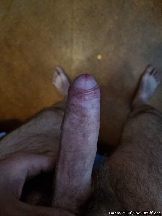 Photo of a dick from Benny7688