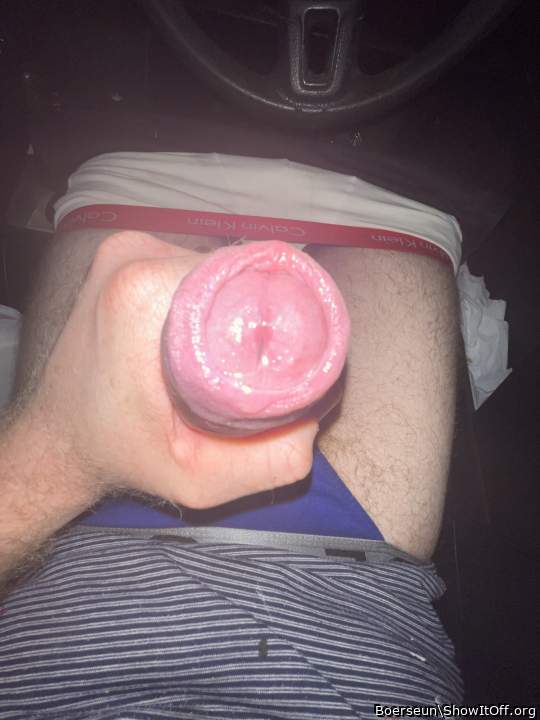 A dick ready to lick