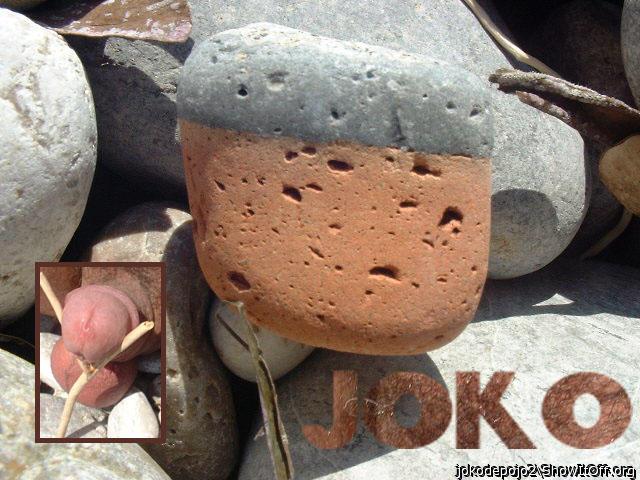 Photo of a jackhammer from jokodepojo2