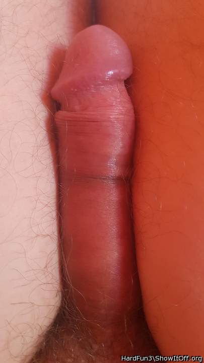 Photo of a sausage from HardFun3