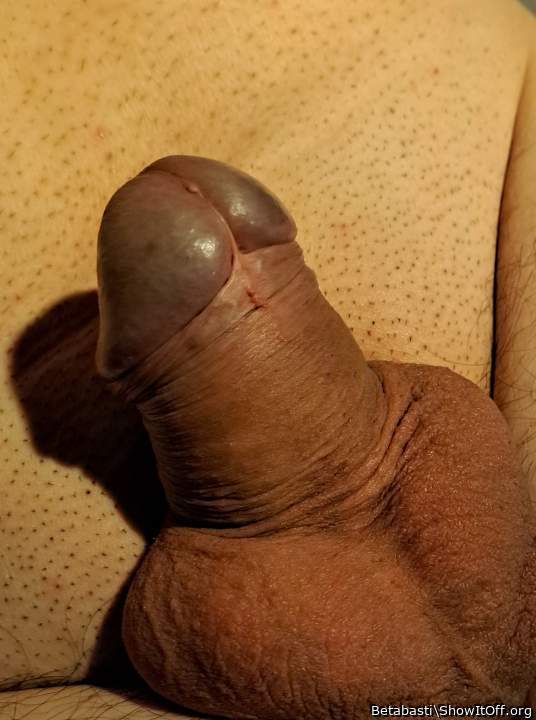 Photo of a dick from Betabasti