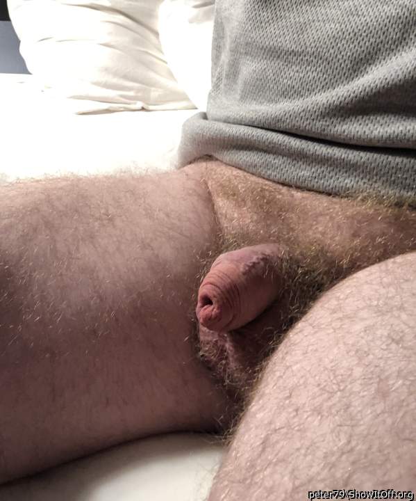 Photo of a penis from peter79