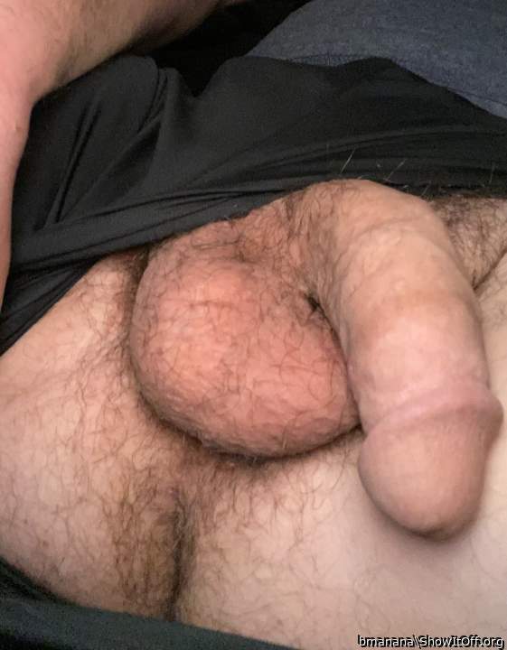 Cock and balls with a little bit of ass