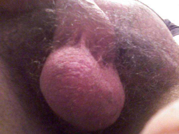 Testicles Photo from 8inchthickdick