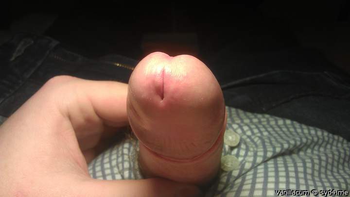Photo of a penile from Vanillacum