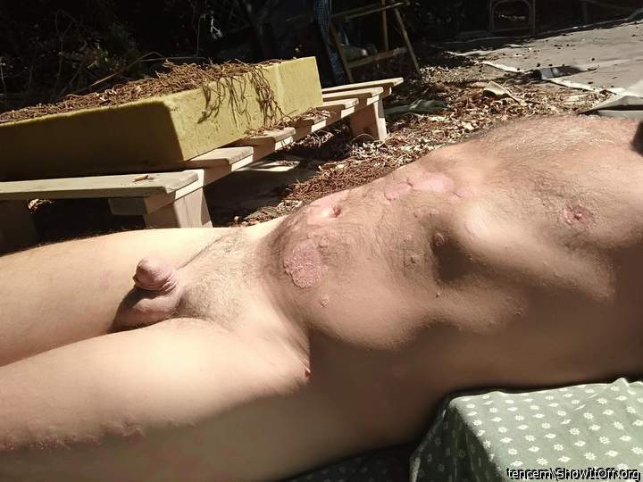 Getting some sun in my back yard 5