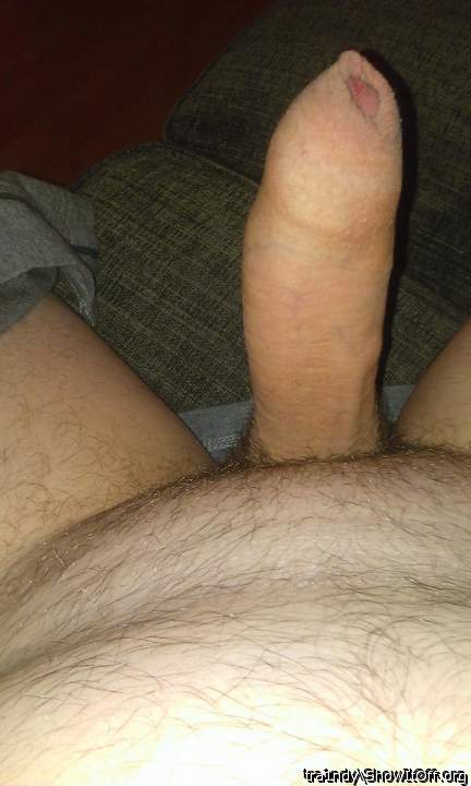 Great owner's view of a gorgeous big thick uncut cock 