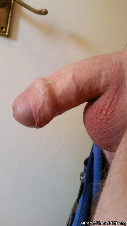 A perfect view of cock, balls and foreskin.  