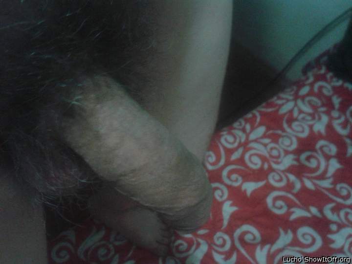Photo of a penile from Lucho
