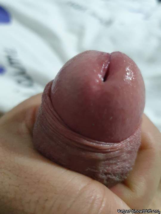 What a beautiful cock. 