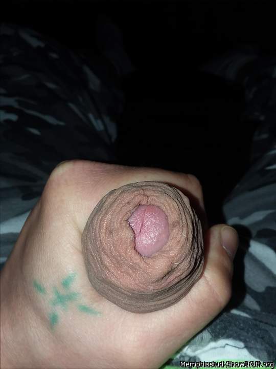 Foreskin needs licked