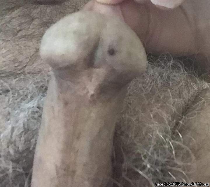 Nice cock,would really enjoy sucking it
