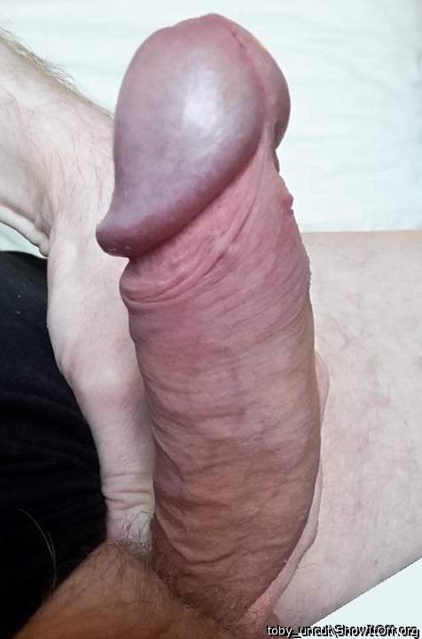 Photo of a stiffie from toby_uncut