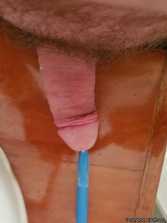 Photo of a cock from fluid