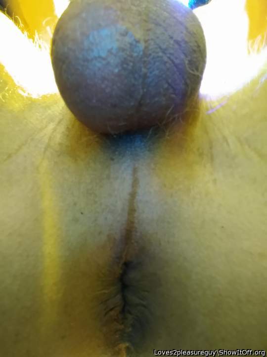 Testicles Photo from Loves2pleasureguy