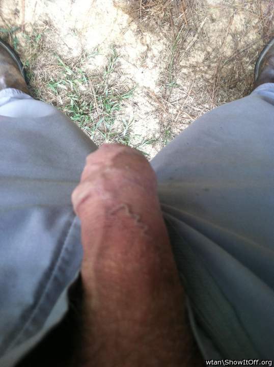 Showing your nice veiny cock