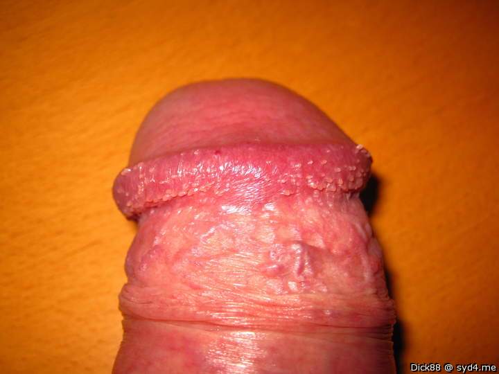 Photo of a dick from Dick88