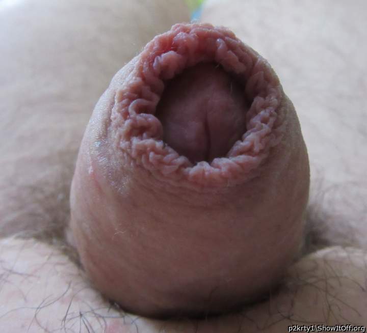 Small, apparently flaccid, and uncut... PERFECT!   