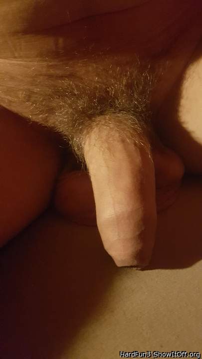 Photo of a weasel from HardFun3