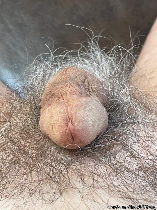 Photo of a penile from slow2cum