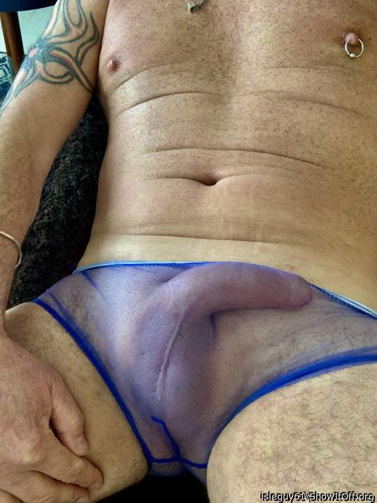 sexy transparent underpants sweet dick