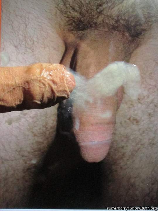 OMG! That's my penis hanging out in front of you!
