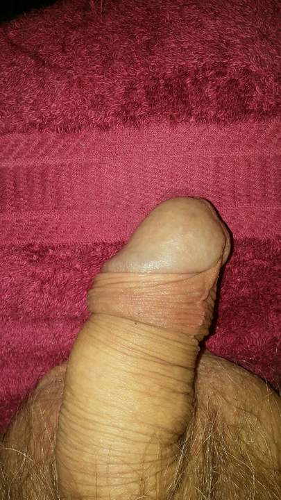 Photo of a dick from niceonebighead