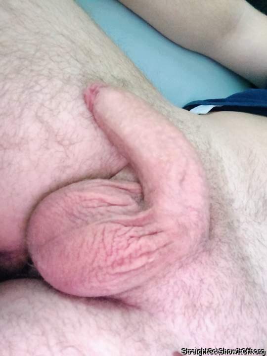 Lovely relaxed set of cock and balls