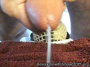 Photo of a snake from Boxxxplow8