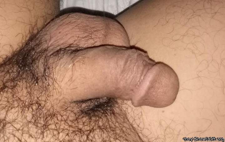 Photo of a penis from choy