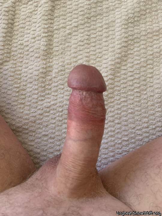 Love to have your dick in my mouth