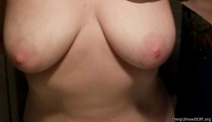 Some great tits