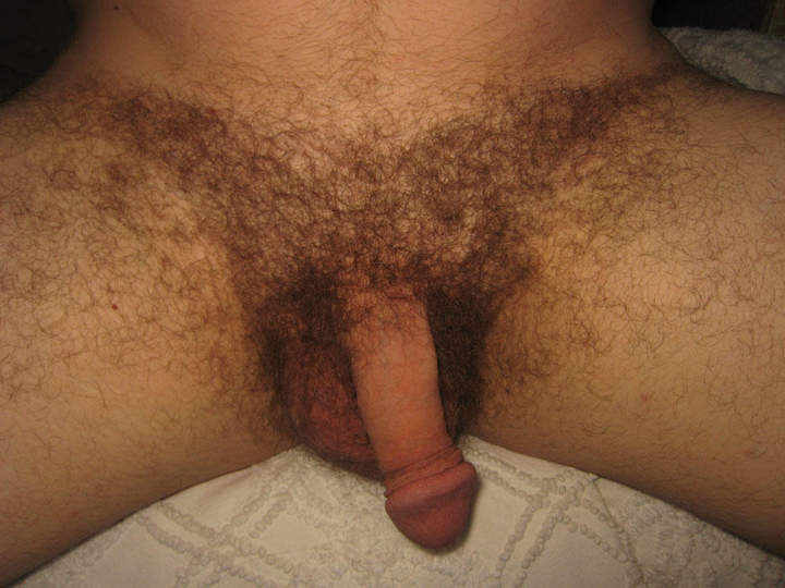    love to play with your hairy cock
