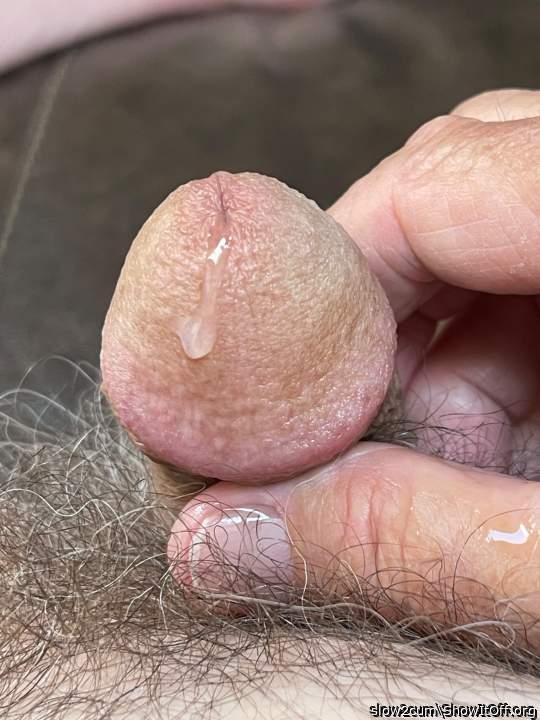Photo of a cock from slow2cum