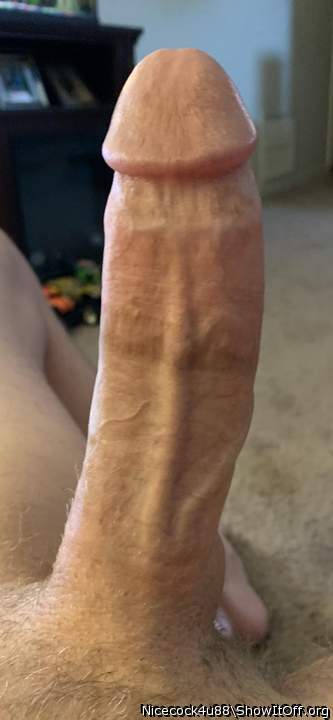 My 8 inch cock