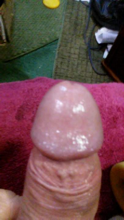 Photo of a penile from niceonebighead