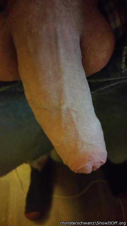 Photo of a sausage from monsterschwanz