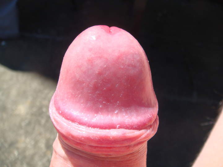 Photo of a sausage from sivad666