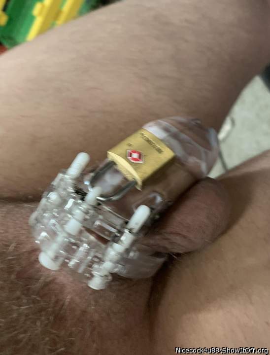 My cock cage