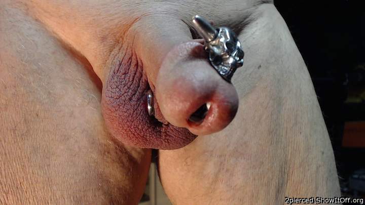 Lil devil with 7 inch by 1/2 inch penis plug